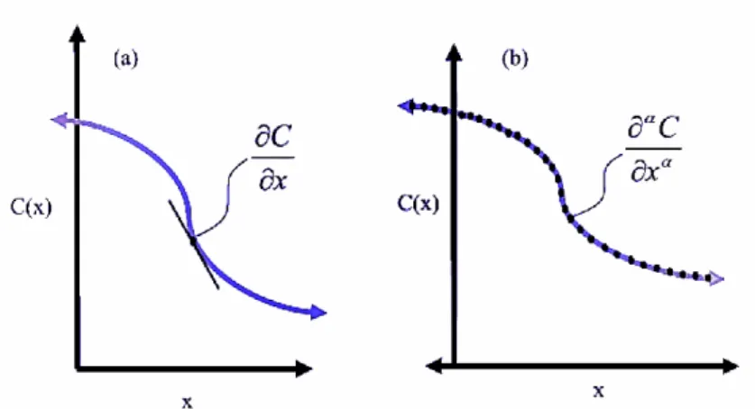Figure 1.2 – (a) The usual derivative is local, (b) The fractional derivative is nonlocal and depends on the behaviour of the entire functions.