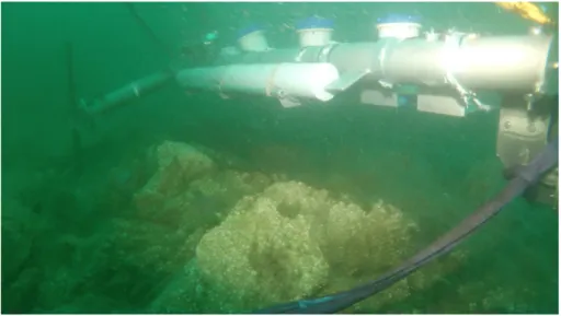 Figure 1.10: Seabed of the Alderney race, photographed during the removal of ADCP devices, THYMOTE project.