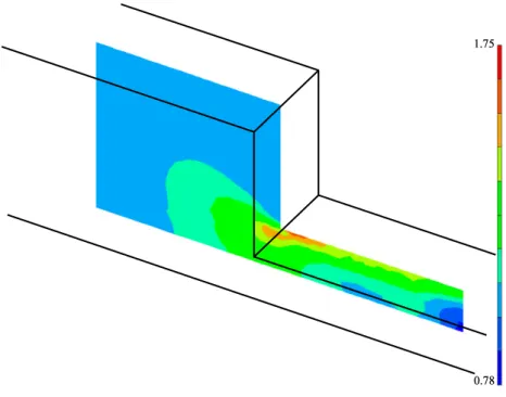 Figure 9. Champ d’´etirement au travers d’une section