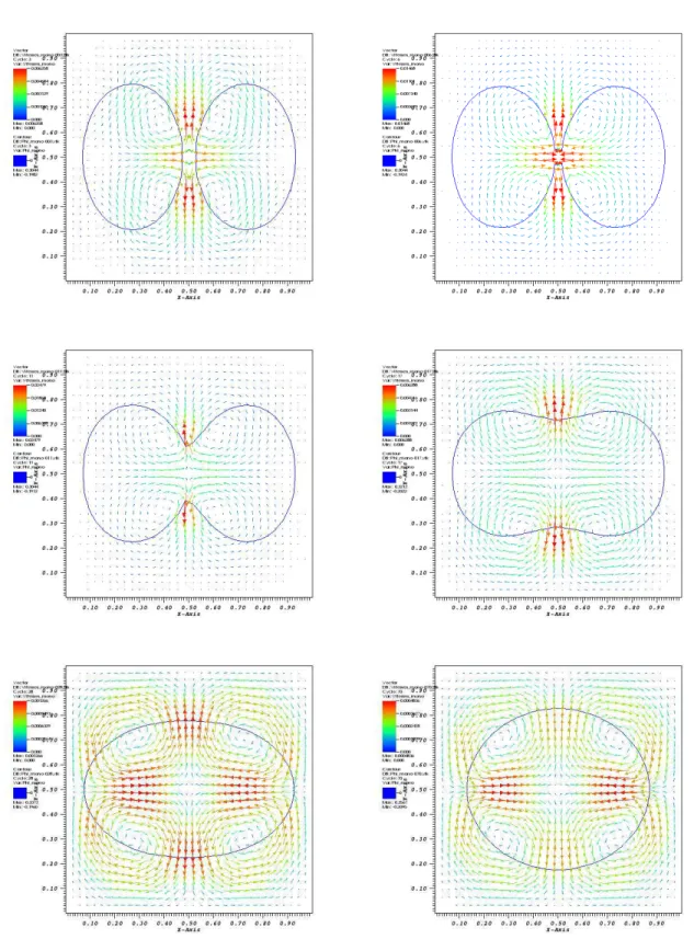 Fig. 1.2: Succ`es de la coalescence. On observe cependant une perte de sym´etrie au cours de la simulation.