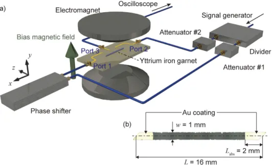 Figure 1.  Setup for FV SW interferometer. (a) Experimental system. Port 1 and port 2 are injection ports