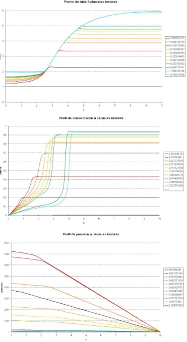 Figure 1.18  prols de rayon, concentration et pression suivant x à plusieurs instants pour le cas à débit constant