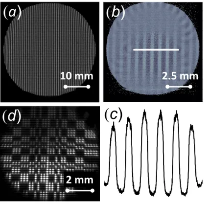 Figure 1. Images of test samples made with the pinhole set-up and focusing-mirrors microscope