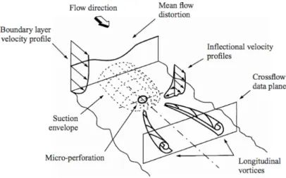 Figure 1.15: Flow structure of laminar boundary layer suction around a perforation from MacManus and Eaton [115]