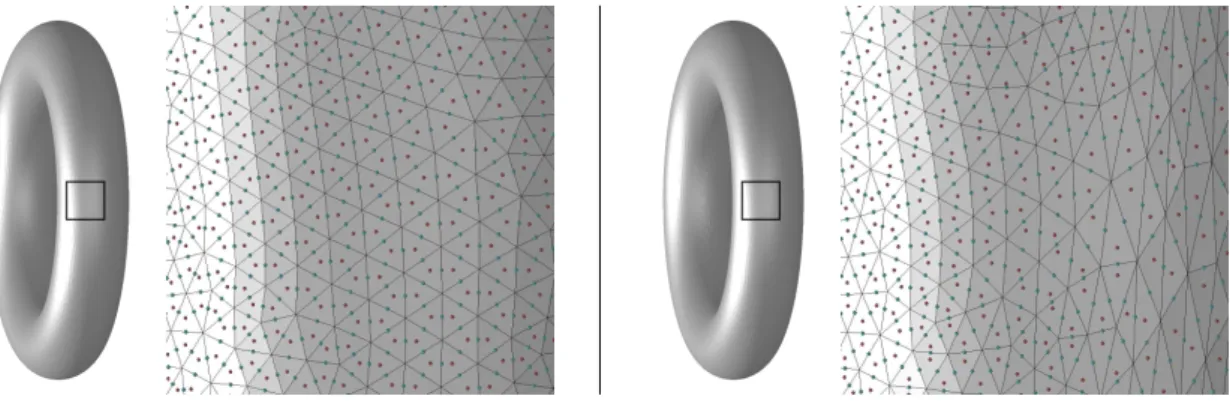 Figure 1.3: On the left an isotropic mesh for a torus is shown together with a zoom in with indicated points X Sk on the triangles and X σk on edges