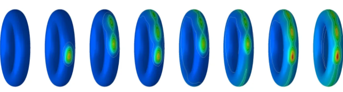 Figure 1.9: As in Figure 1.8, diﬀusion on a rotating torus with a pulsating source is investigated.