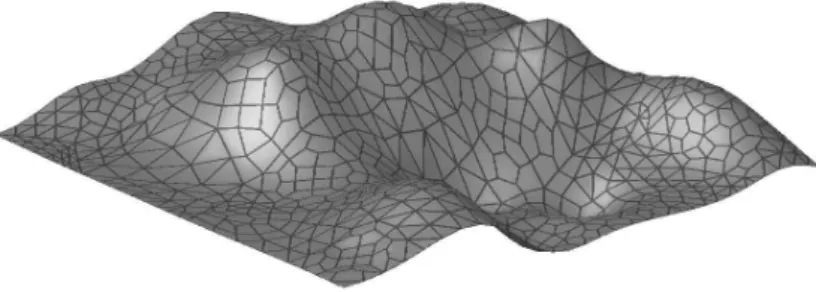 Figure 2.2: Admissible polygonal surface