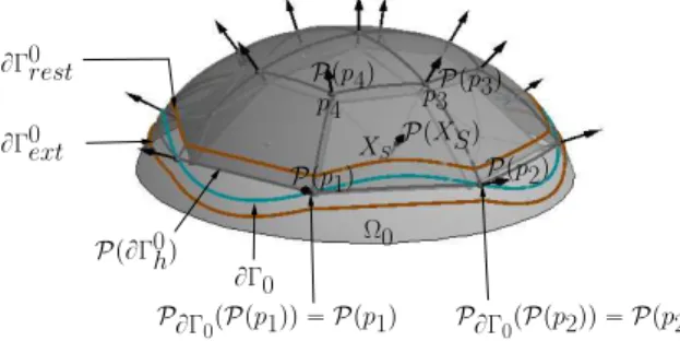 Figure 2.3: Representation of Γ 0  Ω 0 , Γ 0 h , P p Γ 0 h q , Γ 0 rest and Γ 0 ext delimited respectively by B Γ 0 (green line), B Γ 0 h (hidden behind the surface), B P p Γ 0 h q (gray line), B Γ 0 rest (inner brown line) and B Γ 0 ext (outer brown line