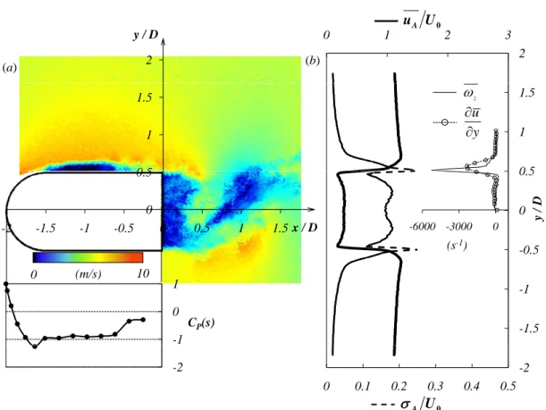 Figure 3.4: Natural flow around the bluff body at Re = 13000; the color map (a) shows an instantaneous field of the modulus √
