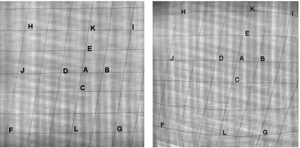 Figure 1.8 – CT-scan of the [0/80/0] stack of Vizilon™ SU75G1 prepreg.