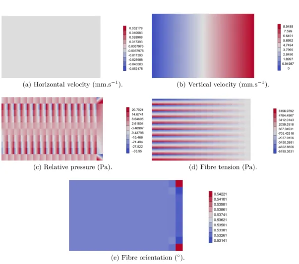 Figure 2.7 – Results of the transverse shear using a discontinuous interpolation for the fibre tension.