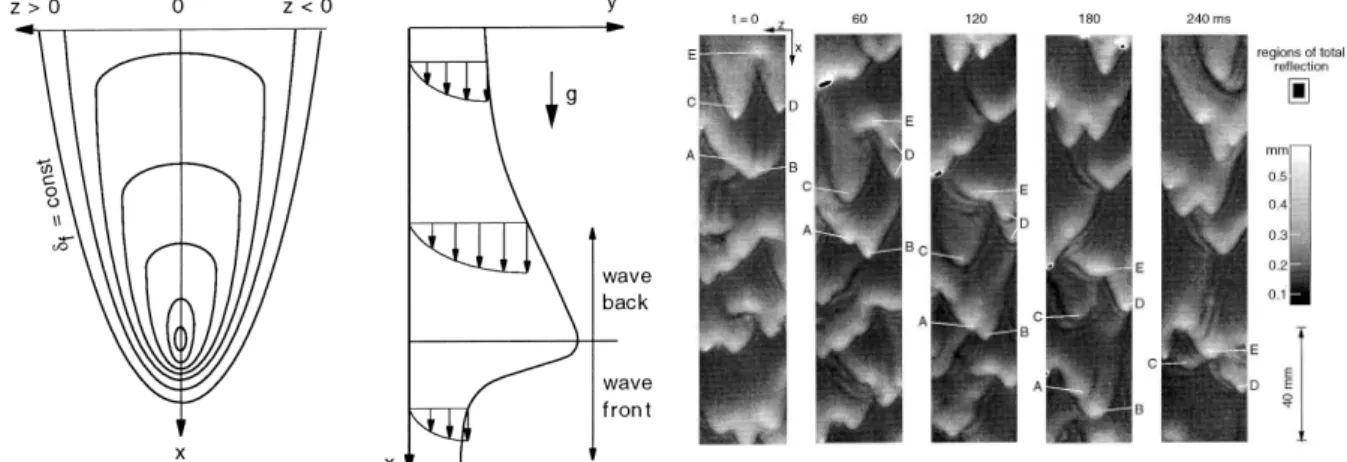 Figure 4.5 : Contour lines of the film thickness of an idealized 3D-wave, from [2]