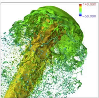 Figure 4.21 : DNS of the primary breakup of a turbulent jet, from [320]