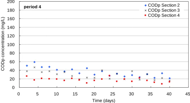 Figure IV- 13: Time-evolution of CODp concentration in section 2-section 4. Period 4, high  loading condition, Viandox 