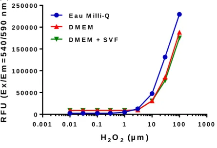 Figure 4-13 Courbes d'étalonnage du peroxyde d'hydrogène dans l'eau, le DMEM et le DMEM avec SVF