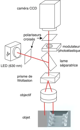 Figure 1. Dispositif d’imagerie Nomarski à intégration de phase.