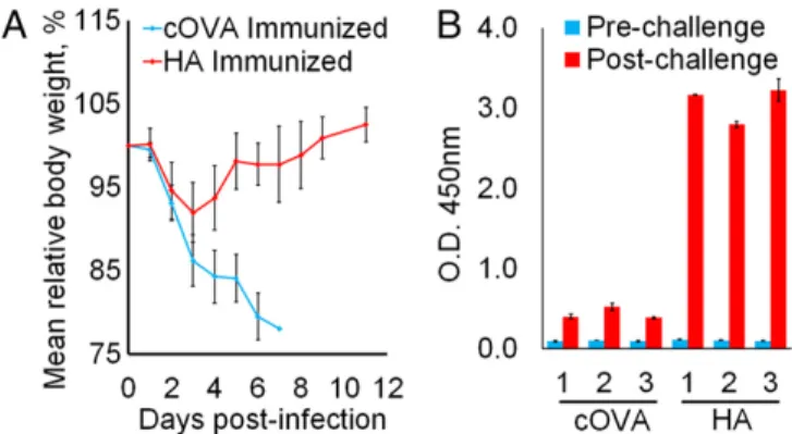 Fig. 3. Single-dose VEEV-based MDNP immunization protects against lethal H1N1 influenza challenge