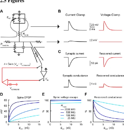 Figure 1. Impact of spine neck resistance on synaptic voltage-clamp.  