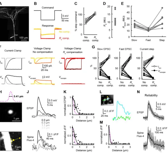 Figure  S3, related to Figure 2. Voltage-dependence of spine Ca2+ signals. 
