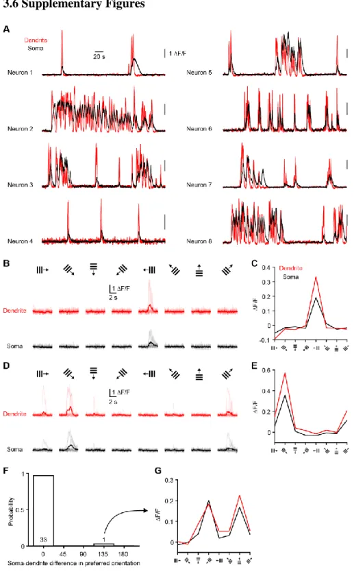 Figure S1. Additional examples of somato-dendritic signals and orientation tuning, related  to Figure 1