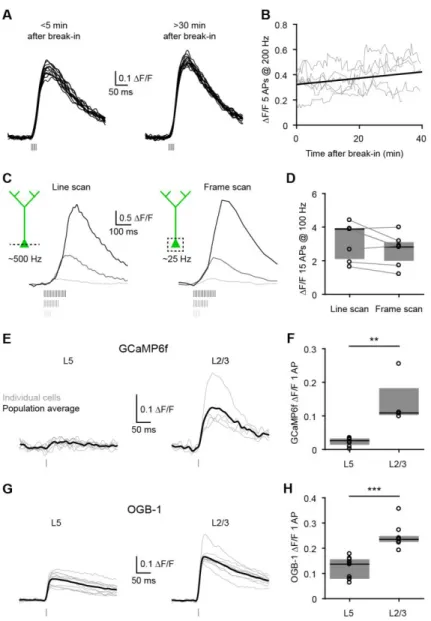 Figure S3. Control experiments for GCaMP6f in slices, related to Figure 3.  