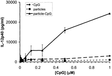 Figure  7:  IL-12p40  secretion  levels,  as  measured  by  ELISA,  when  DCs  were  incubated with  CpG  oligonucleotide-functionalized  particles,  soluble  CpG  oligonucleotide  and uncoated  particles.