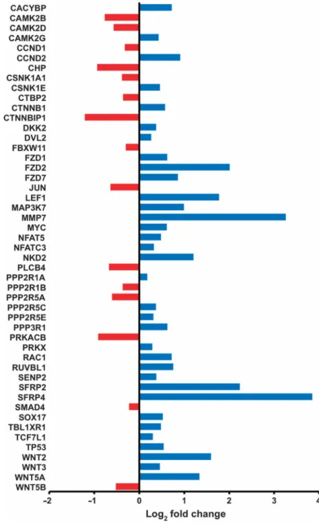 Fig. 7. Gastric cancer patients exhibit a dysregulation of Wnt signaling