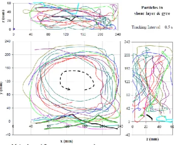 Figure I.29: Particle paths indicating the dynamically active regions of the shear layer and the gyre
