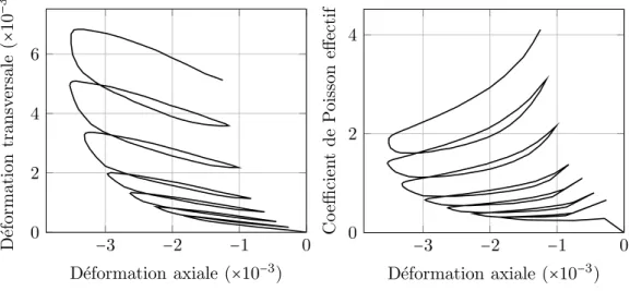 Figure 1.6: Ph´enom`ene de dilatance observ´e en compression uni-axiale [Ramtani, 1990].