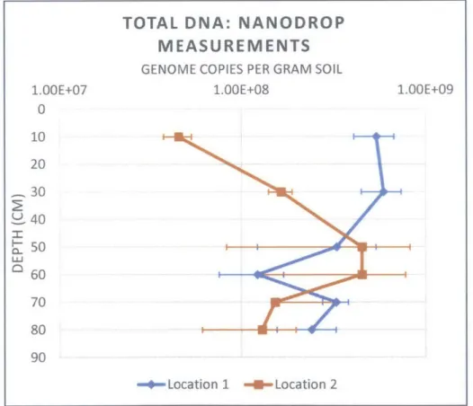 Figure  5 - Vertical  profile of average  total DNA  concentrations for Location 1 and  2-measured  by UV  Spectrophotometry