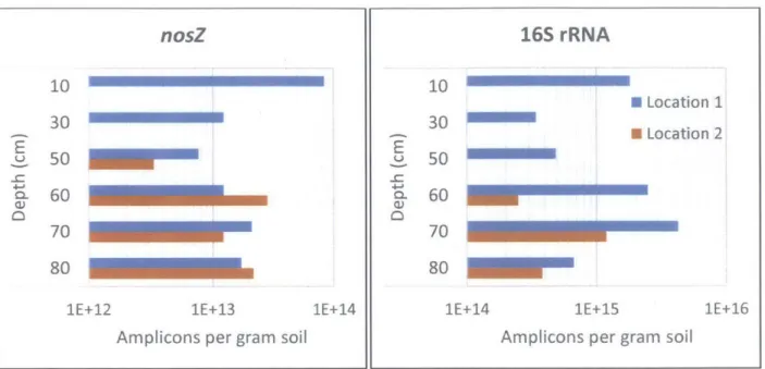 Figure 9 - Number  of nosZ and  16S  rDNA  amplicons  per gram  of dry soil,  based  on  dilution PCR  band brightness,  amplicon size,  and sample  dry weight shown  for  both soil collection  locations