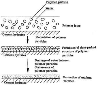 Figure 19. Simplified model of process of polymer film formation on cement hydrates [56]