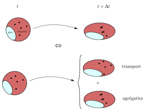 Fig. 1.9 – Décomposition de l’évolution de la densité numérale des inclusions : transport macroscopique et agrégation