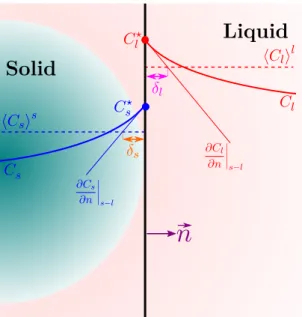 Figure 1.6 – Schematic of solute diffusion at solid-liquid interface in the two-phase approach for microscopic modeling.