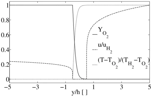 Figure 3.3: Transverse cut through the initial solution of the cold flow, downstream the lip.