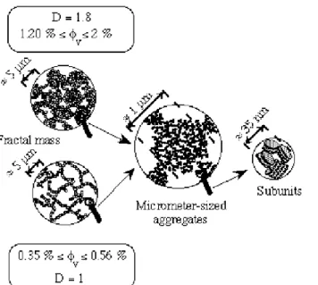Figure 2. 1 : Schéma représentant la structure d’une suspension de Laponite au repos (Pignon et  al., 2000b)