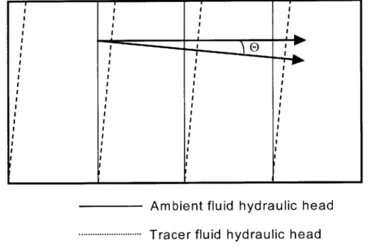 Figure 3-1.  Hydraulic-head  distribution  for the ambient  fluid and  a denser tracer  solution