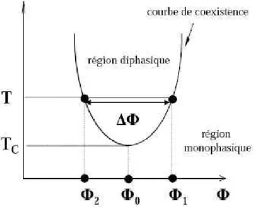 Fig. 5.2  Diagramme de phase de la miro-émulsion en représentation (T, φ) . φ 0 est la fration volumique initiale du mélange en mielles à T 0 &lt; T C , φ 1