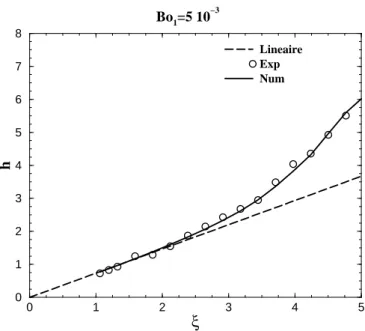 Fig. 5.7  Evolution de la hauteur de l'interfae en fontion du rapport de