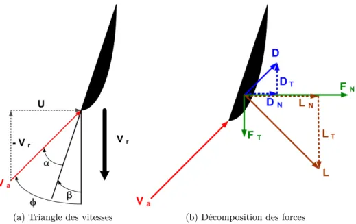 Figure 3.7 – Triangle des vitesses et forces exercées sur un profil d’éolienne