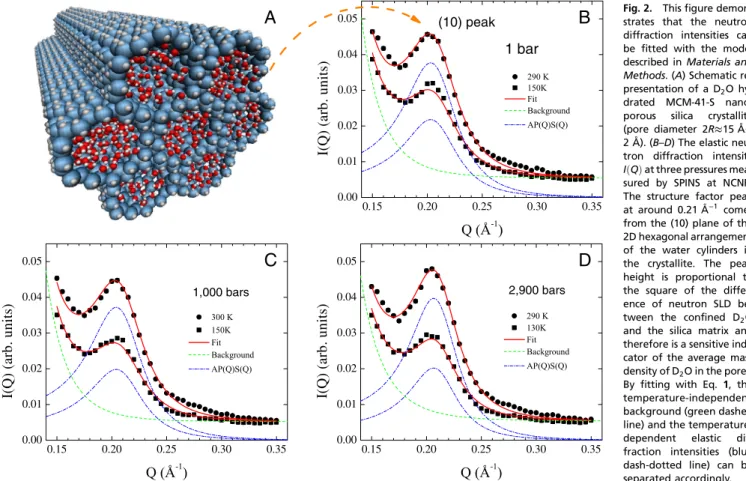 Fig. 2. This figure demon- demon-strates that the neutron diffraction intensities can be fitted with the model described in Materials and Methods