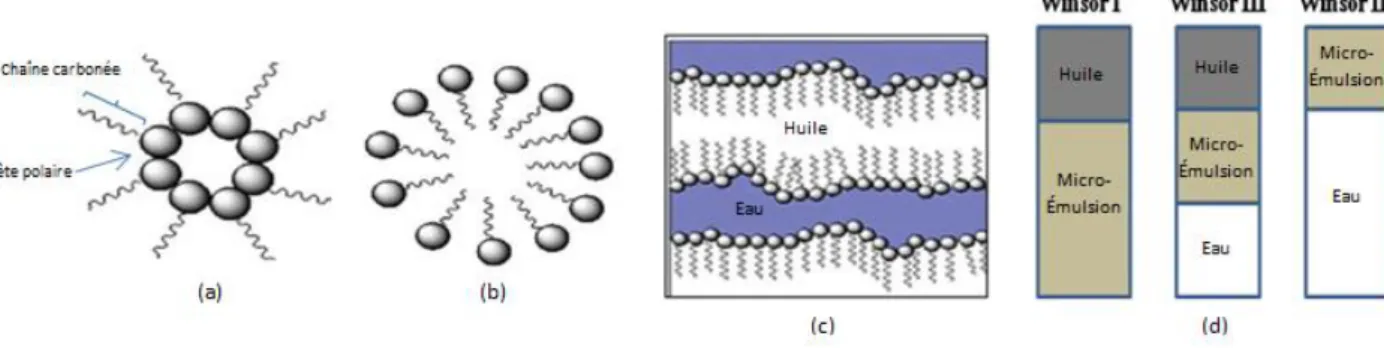 Figure 10 : Structure des microémulsions et classification Winsor pour un système  eau/huile/TA ; (a) Microémulsion inverse avec de l’eau au cœur et de l’huile autour (b) 