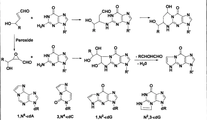 Figure  1-28.  Formation  of propano