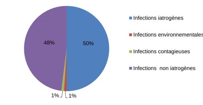 Figure 15 - Répartition des différentes catégories des infections nosocomiales en France [InVS 2001]