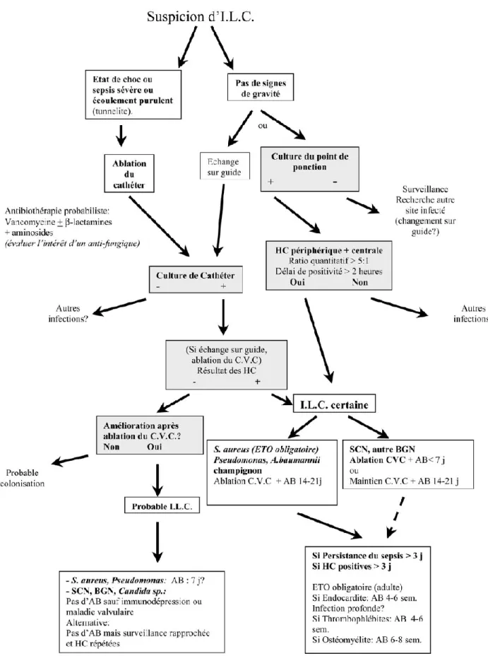 Figure 19 - Démarches lors de suspicion d’infections liées aux cathéters [Tim 2003]. 