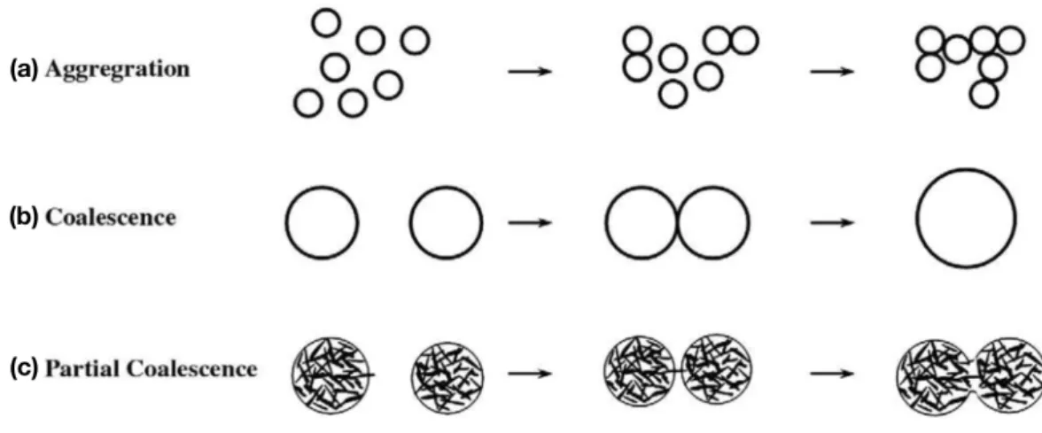 Figure 2.20: Schematic representation of agglomeration conceptual descriptions. Source: Fredrick et al