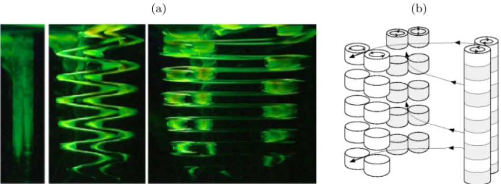 Figure 2.1: (a) Photographies of the evolution of the zigzag instability on two columnar counter rotating vortices