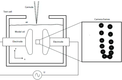 Fig 1.19. Two falling water drops inside synthetic oil under electric fields (Pedersen 2008)