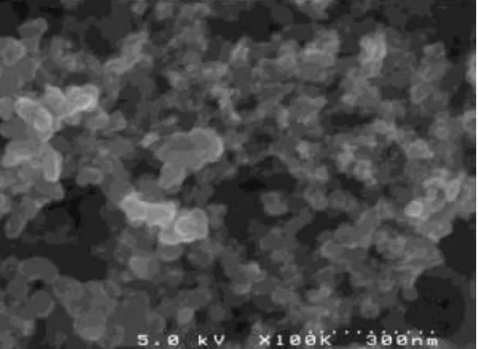 Figure 2.1 : Cliché de microscopie électronique à balayage (vue de dessus) d’une couche de carbone poreux