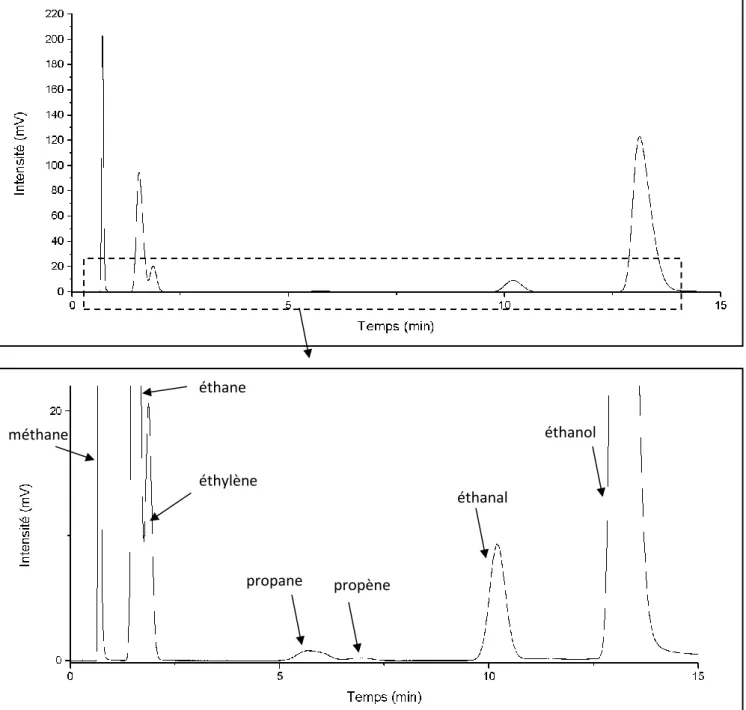 Figure 2.16 – Chromatogramme typique des produits gazeux de la réaction dans l’éthanol en  utilisant un détecteur FID
